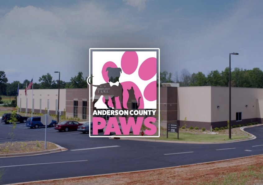 Anderson county humane society kaiser permanente atlanta office