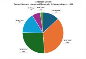 Chart of showing the percentage of births to single mothers by 5-year age cohort, 2022
